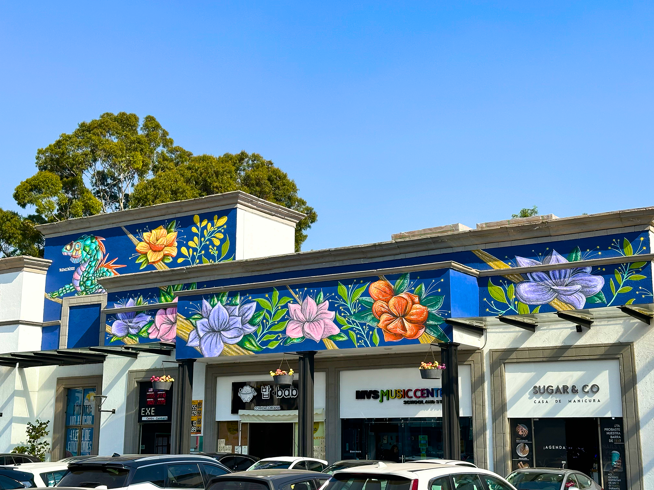 Locales comerciales con murales de flores en la parte superior