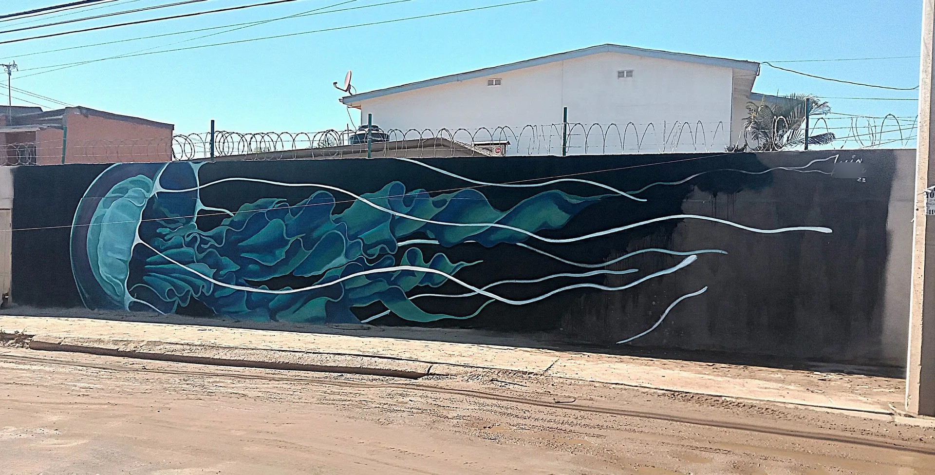Medusa azul