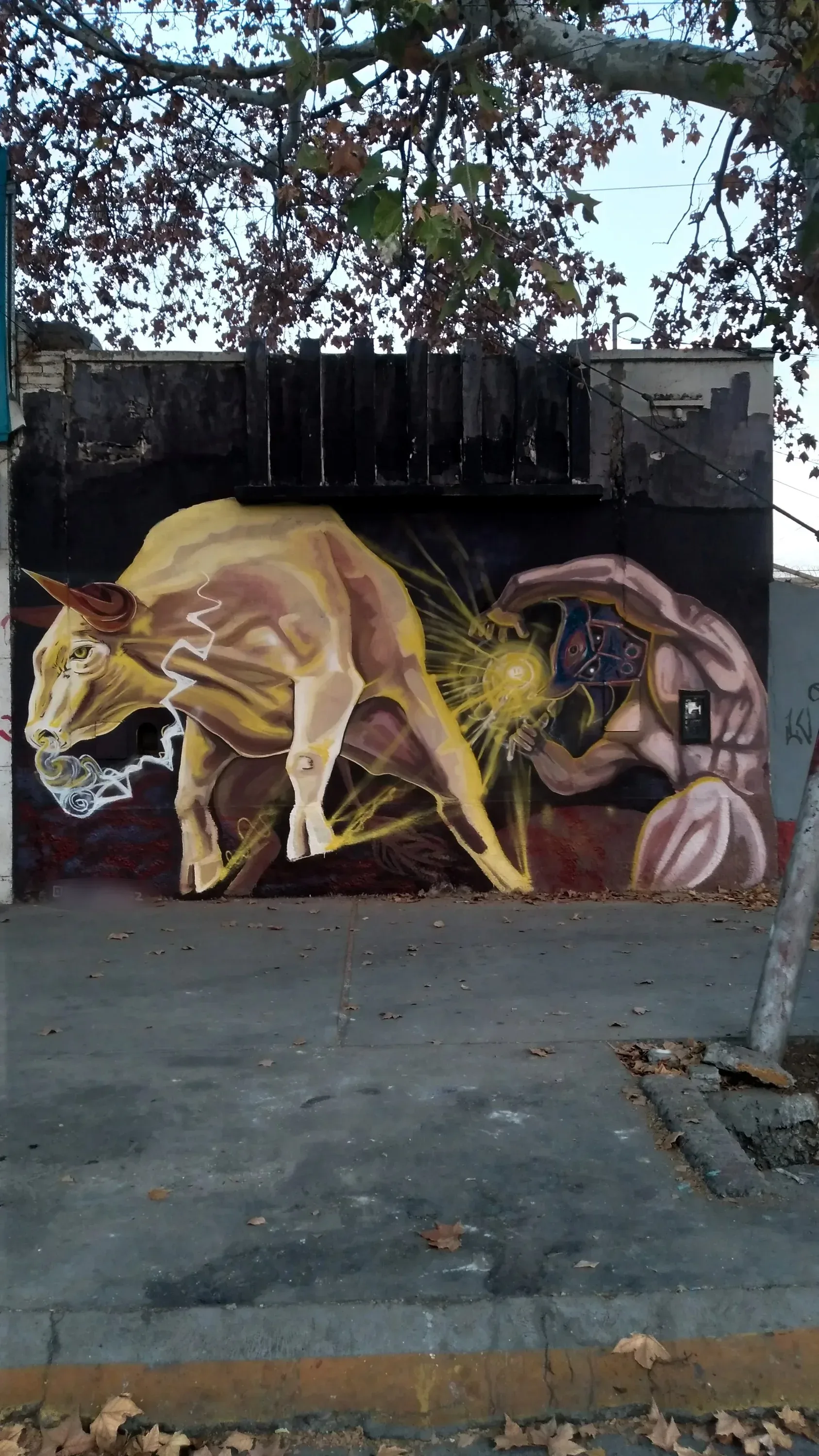 Toro
