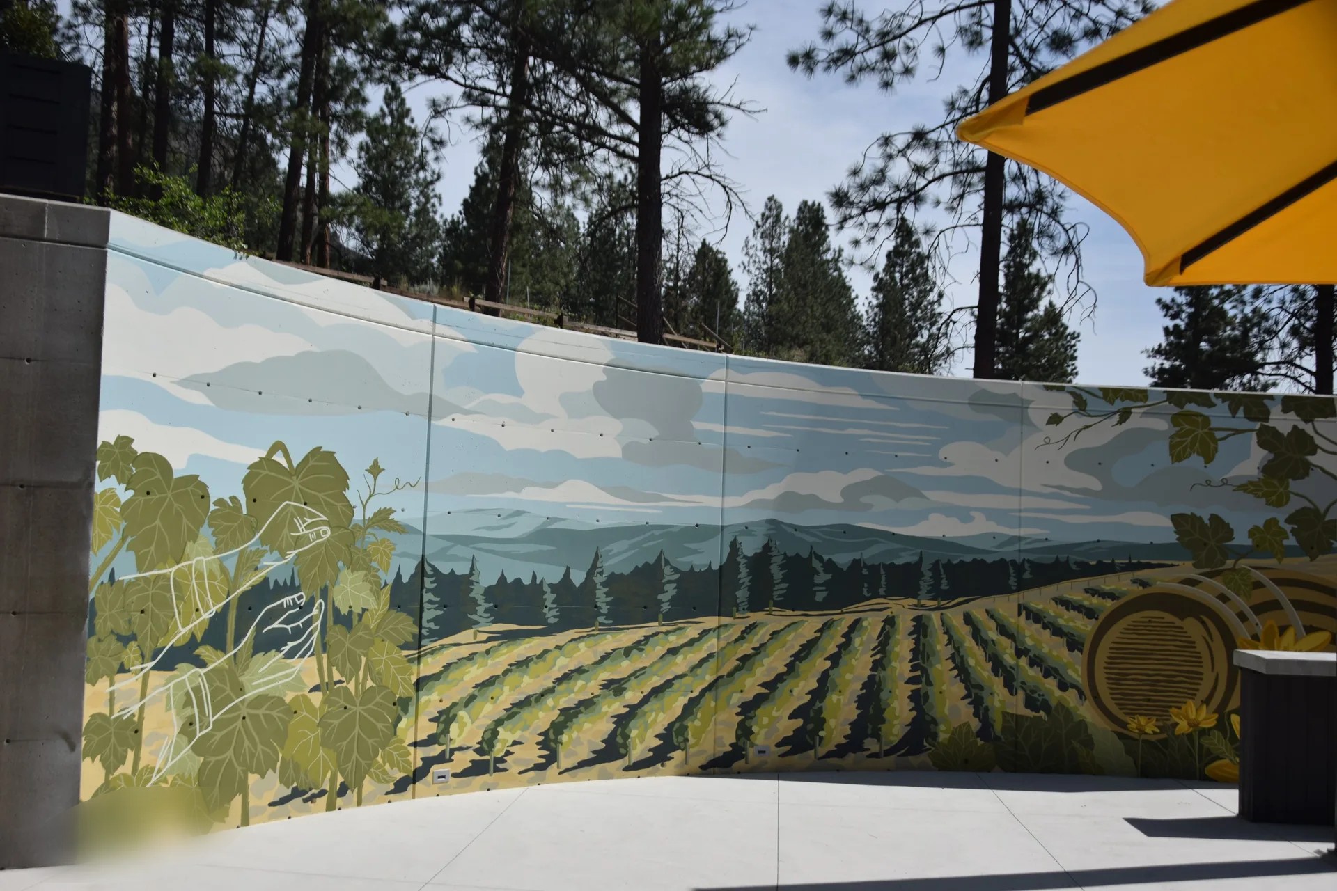 Vineyards