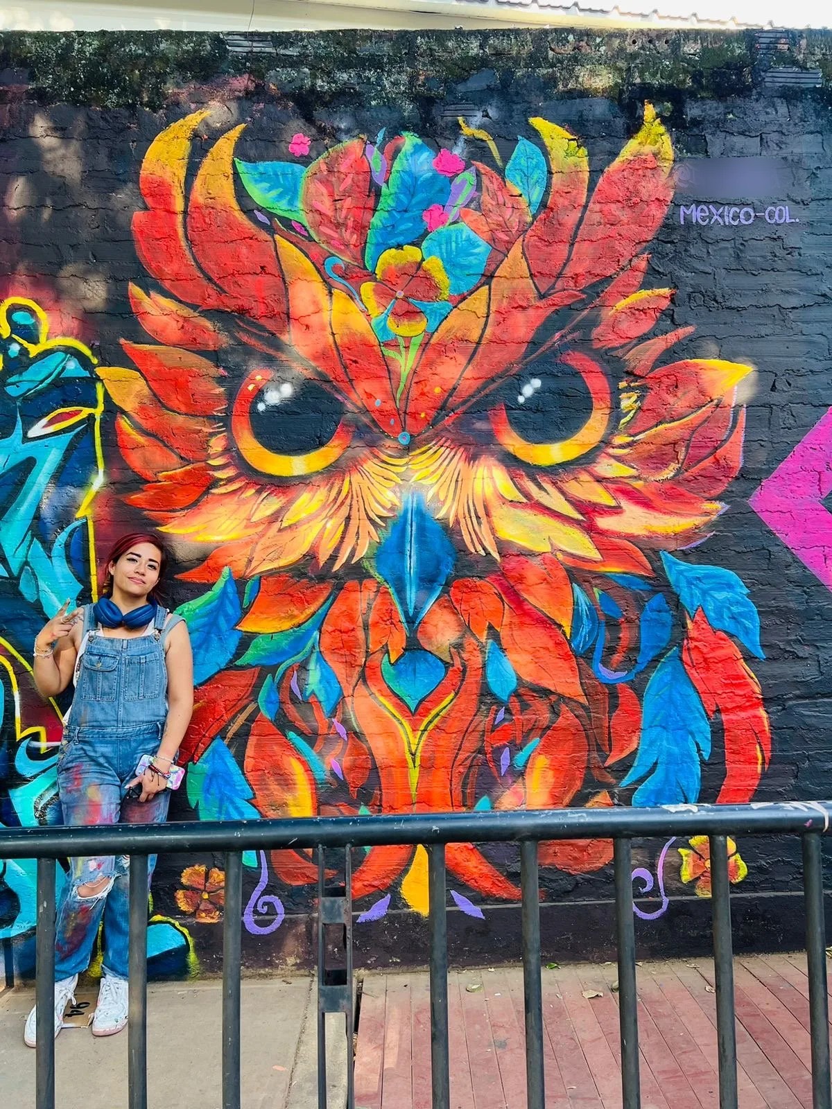 Búho colores