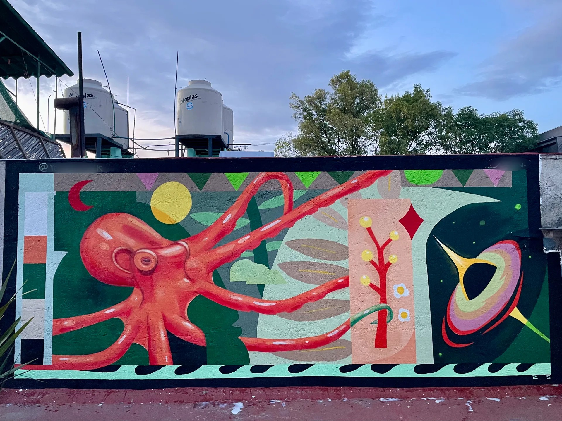 Octopus 