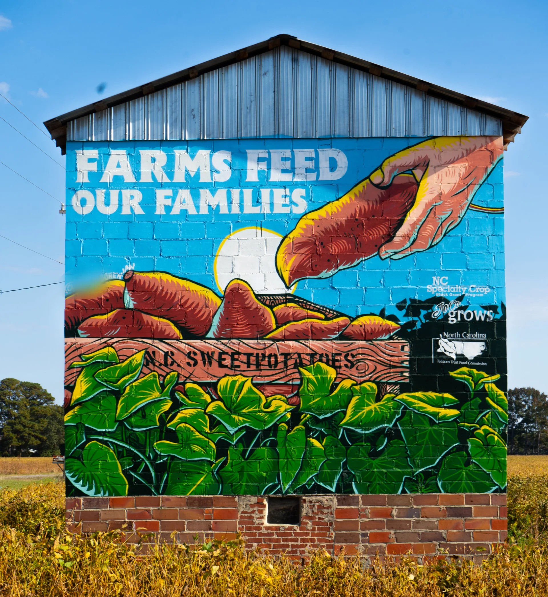 NC Sweet Potatoes