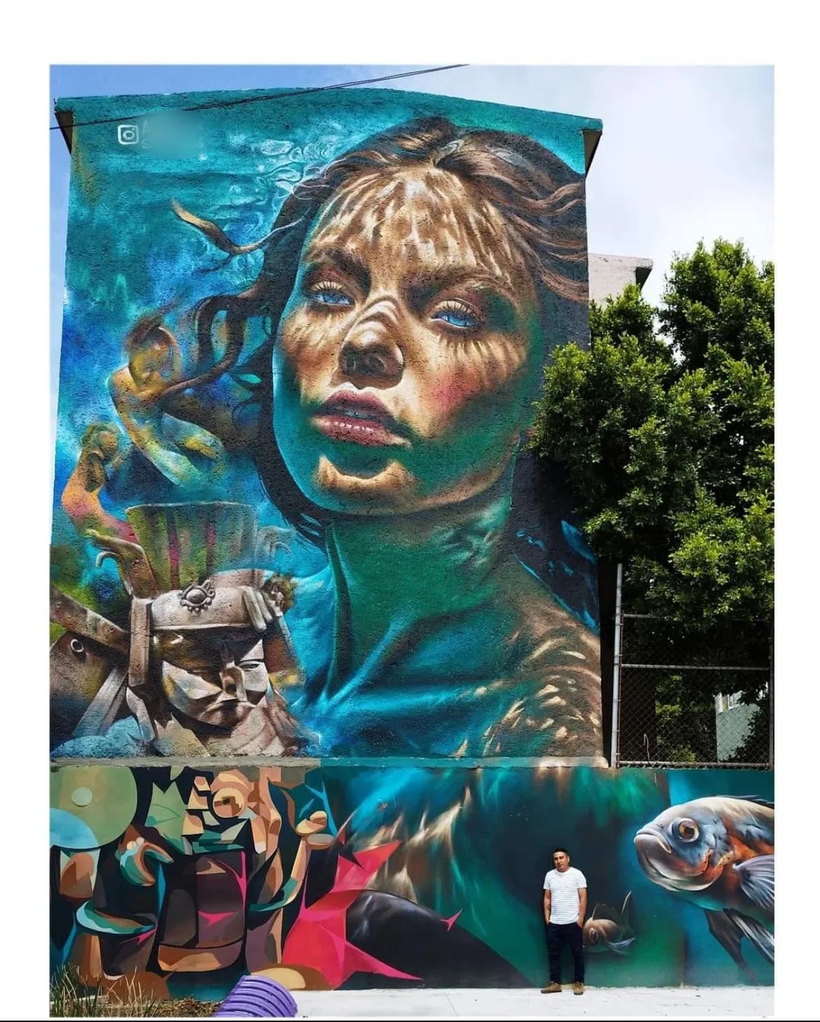 El reflejo