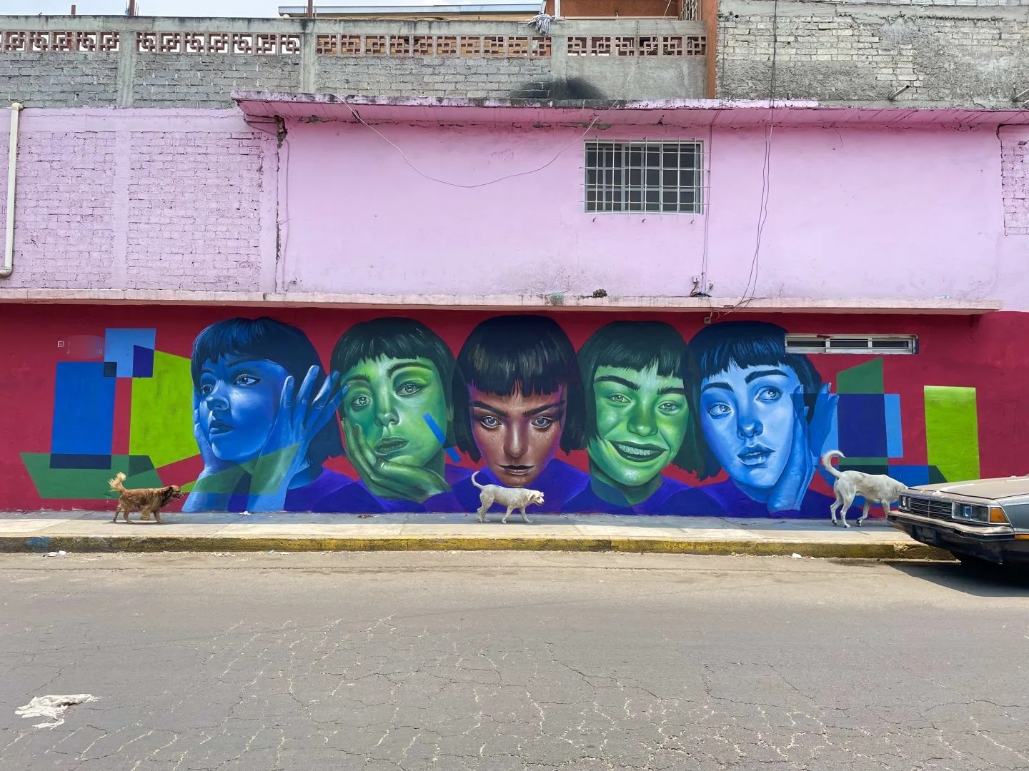 Somos colores