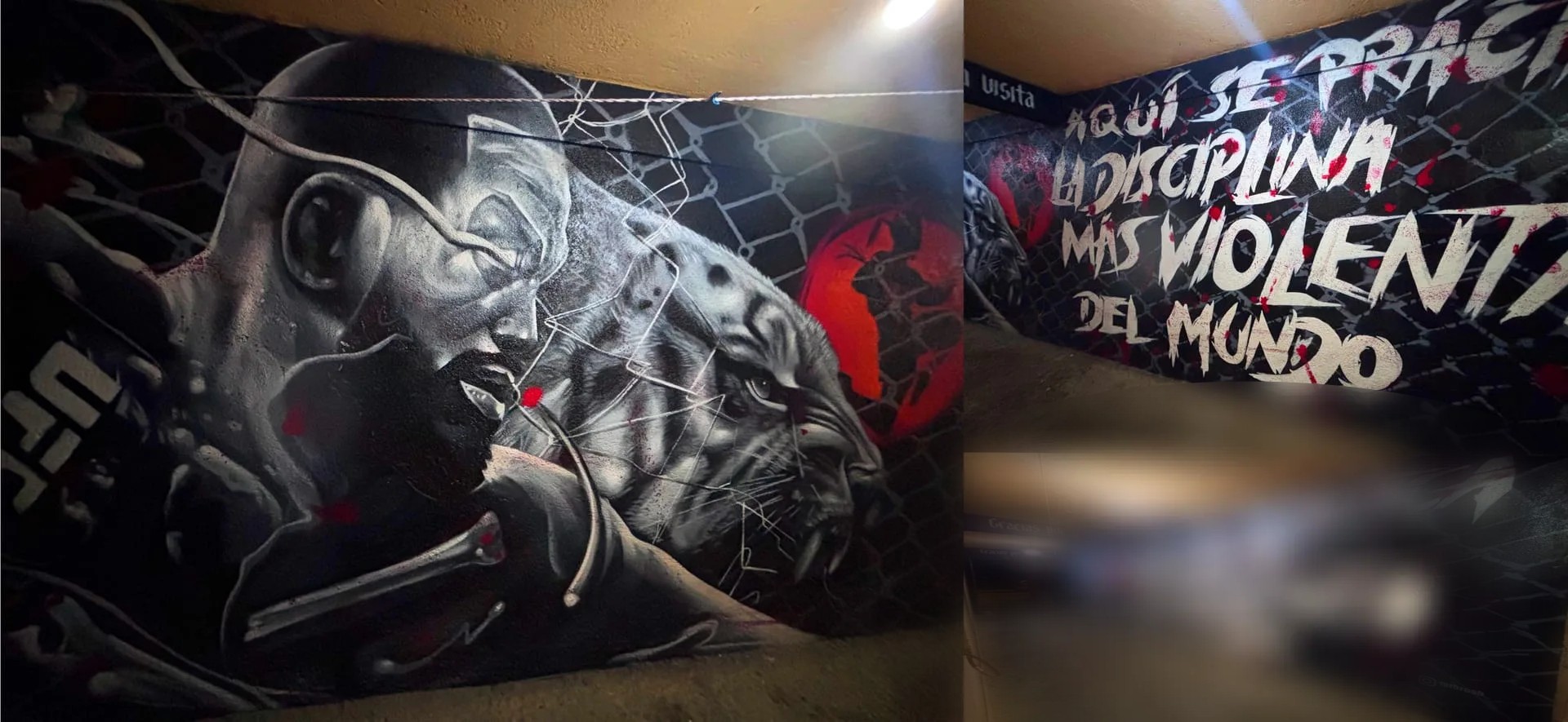 Escuela MMA