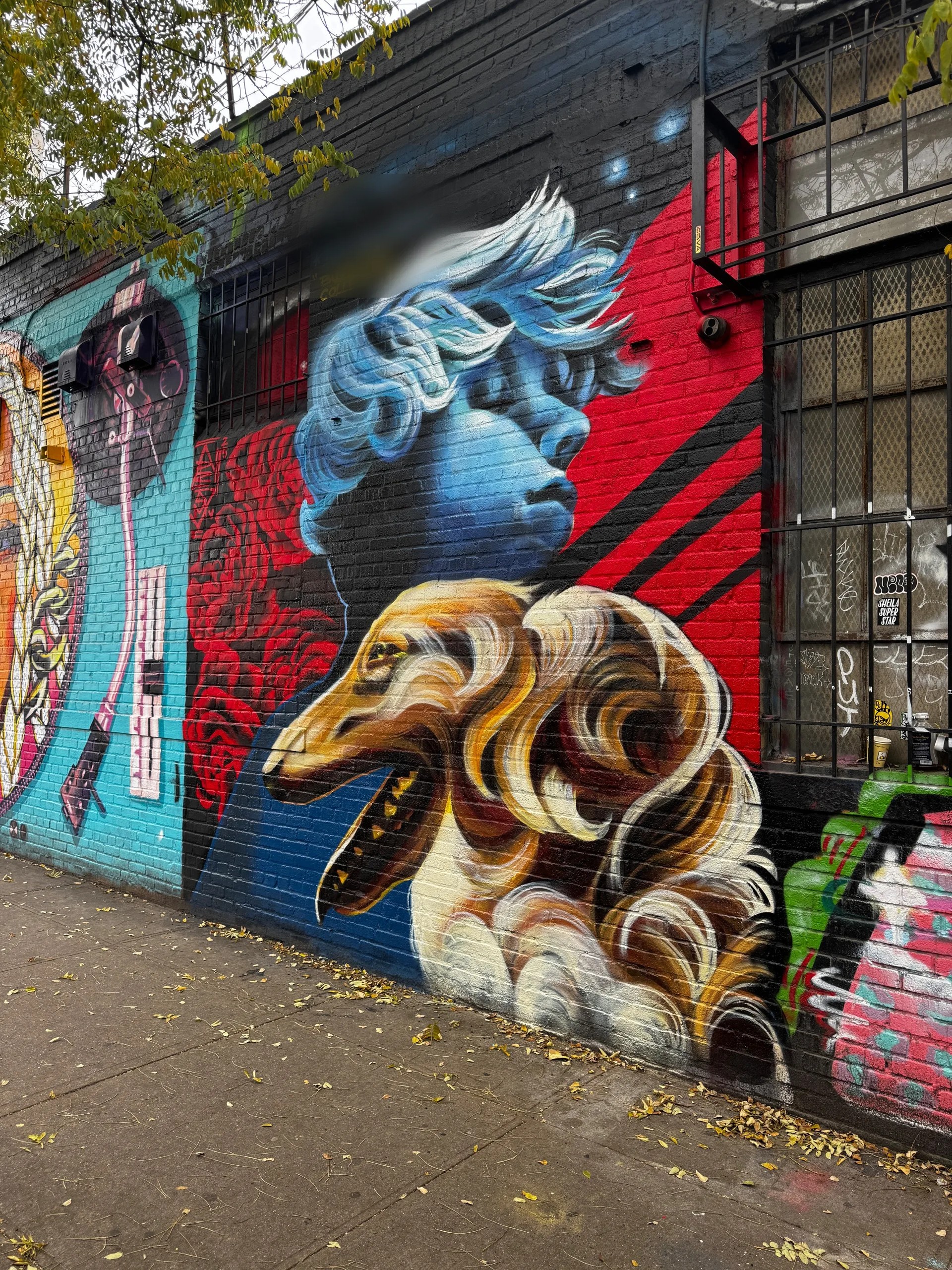 Bushwick, the boy