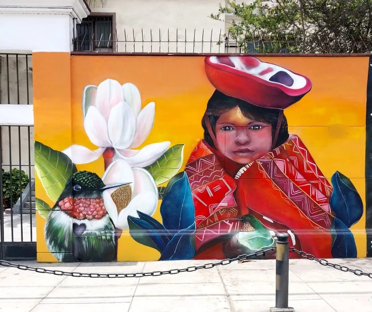 Niña Andina