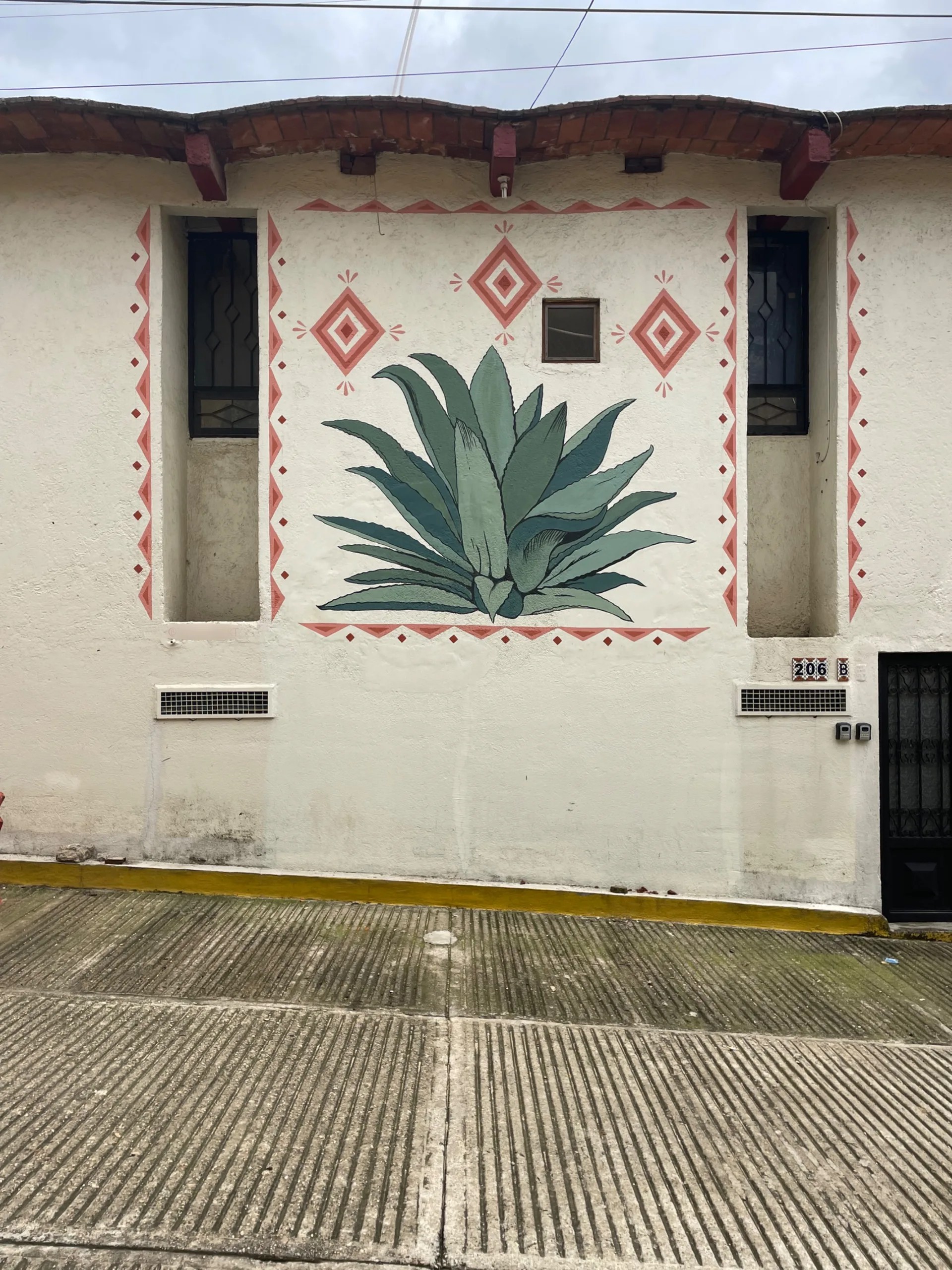 ‘Agave’ 