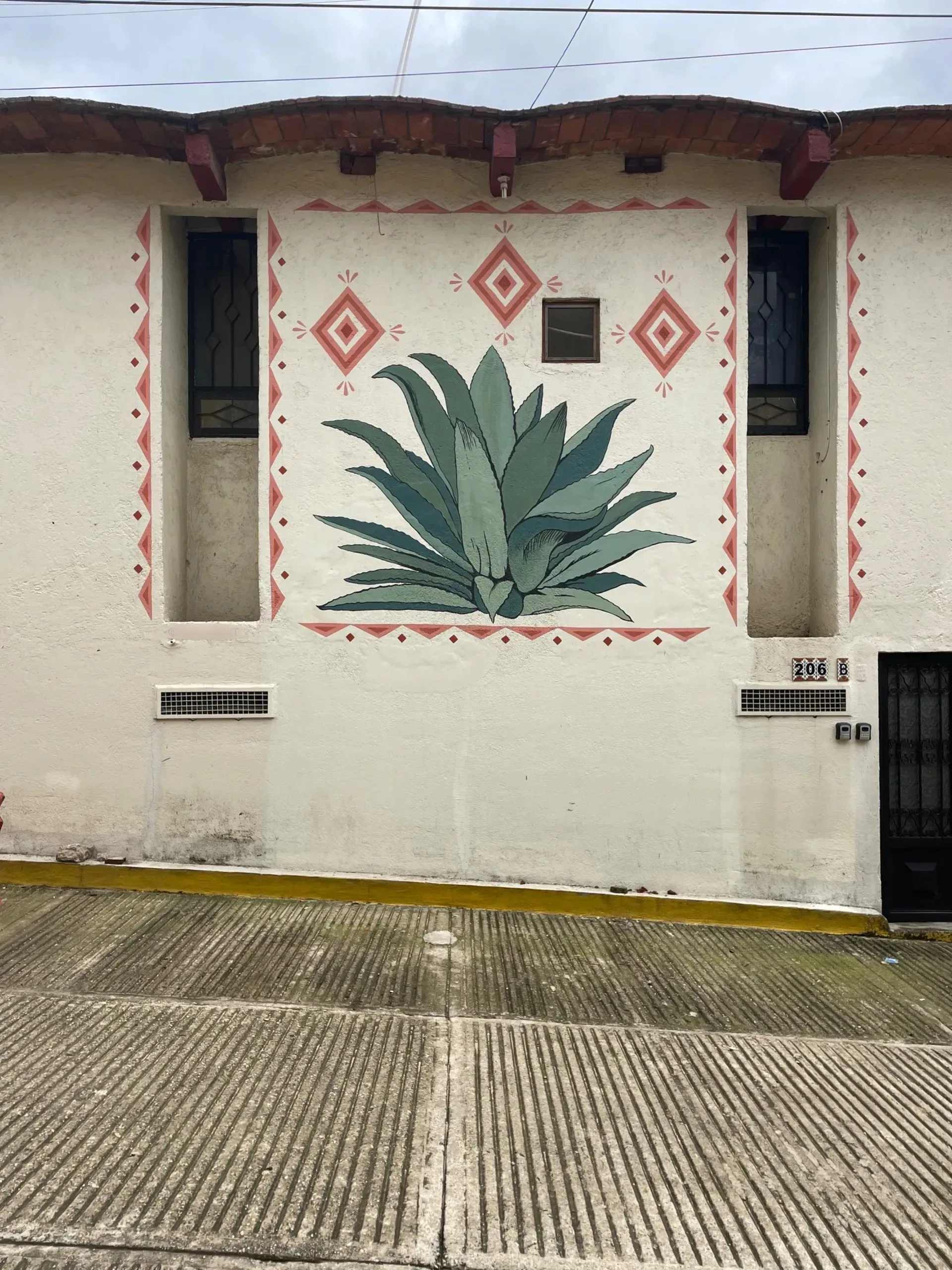 ‘Agave’