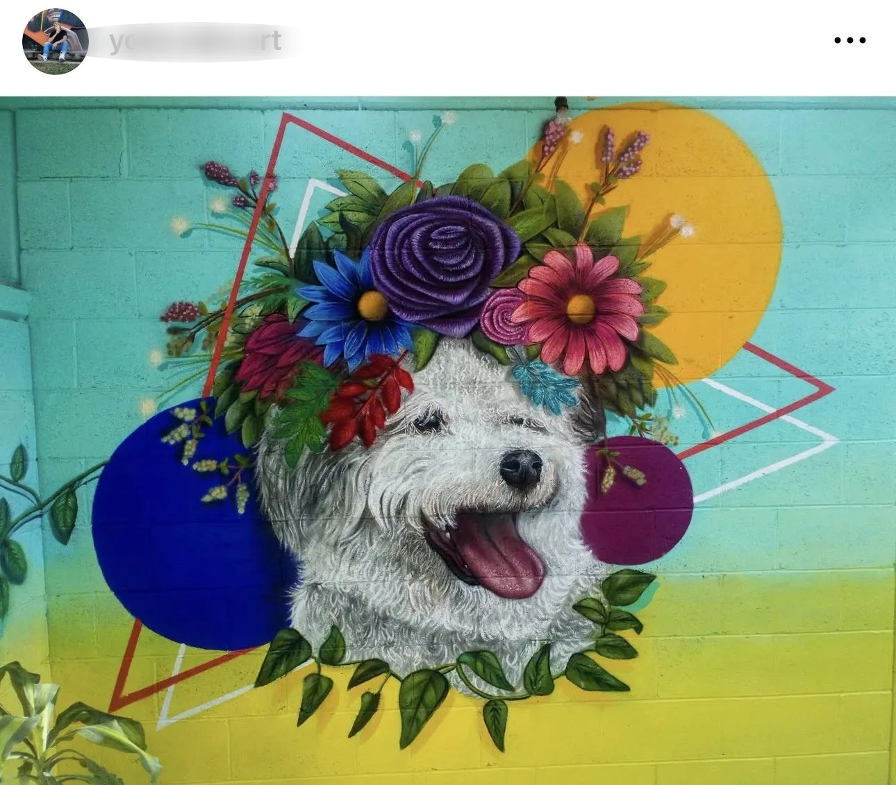 Woof