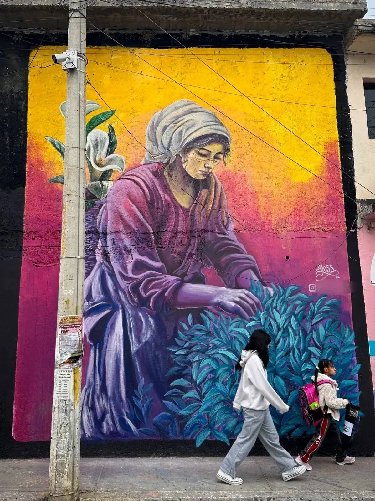 La recolectora