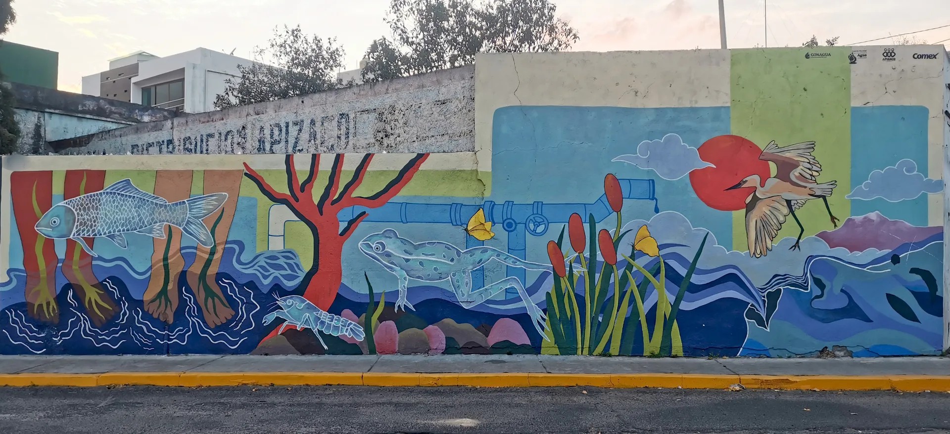 Cuerpos de agua