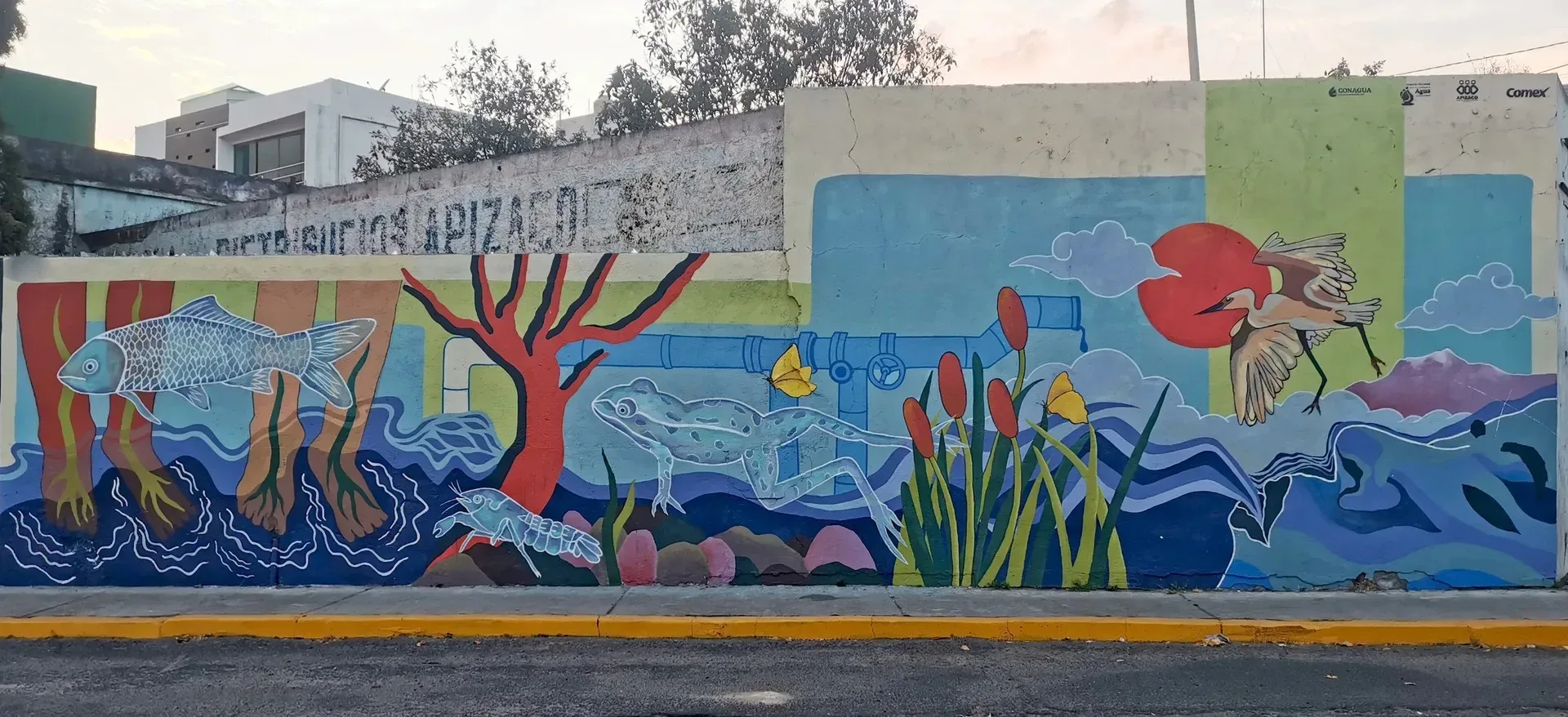 Cuerpos de agua