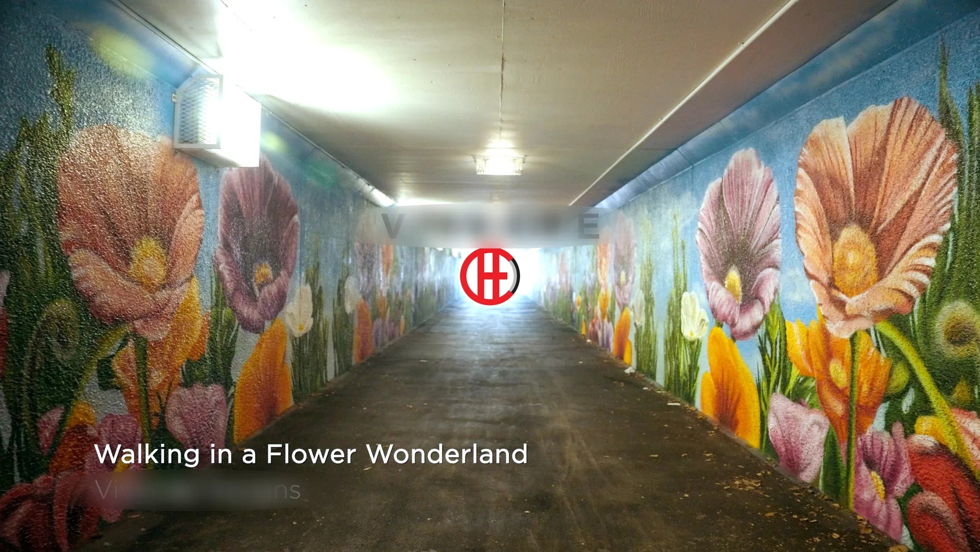 Flower Wonderland 