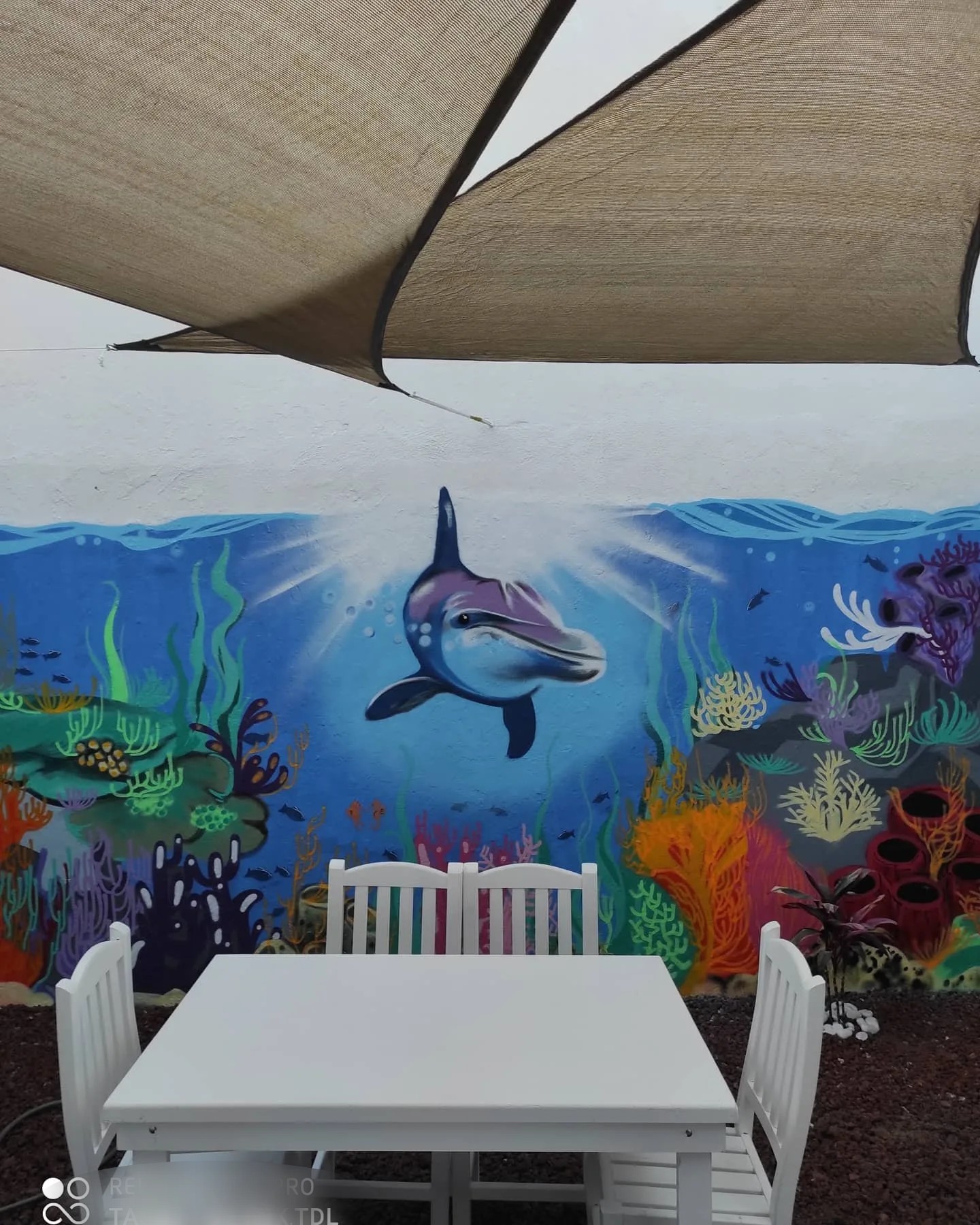 Delfin suites frida