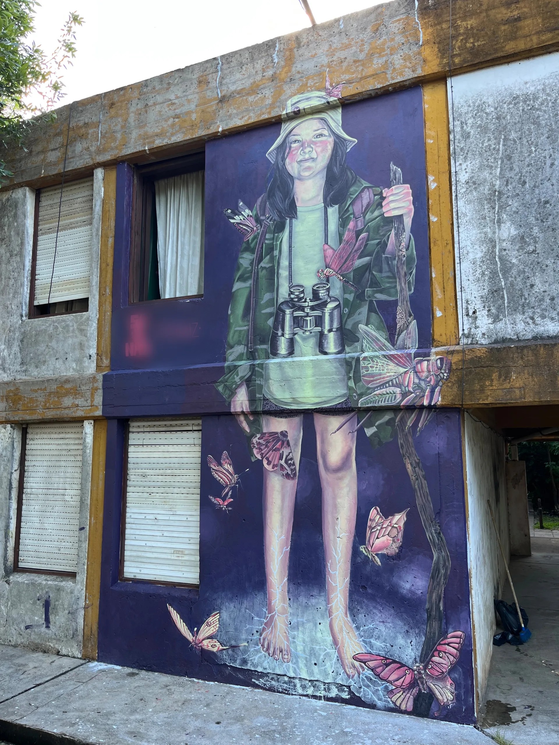 Alfonsina y las mariposas