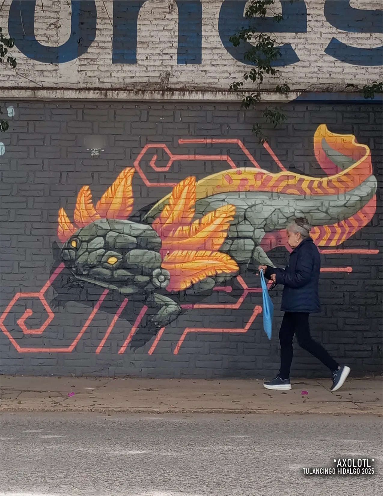 "Axolotl"