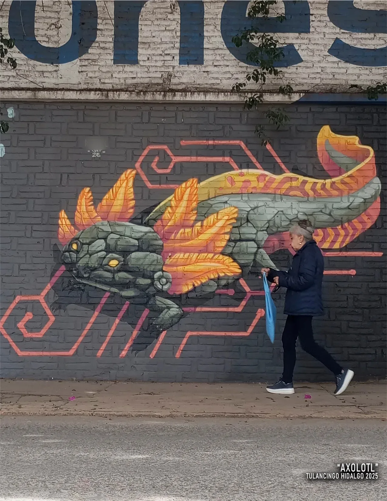 "Axolotl"