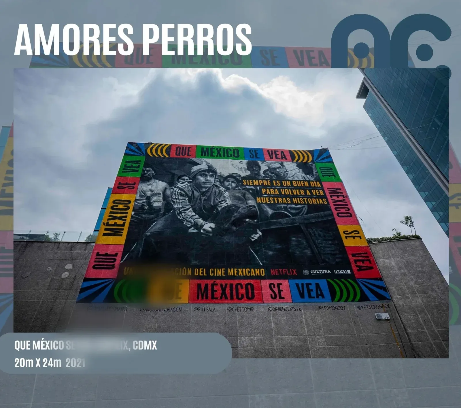 Amores perros