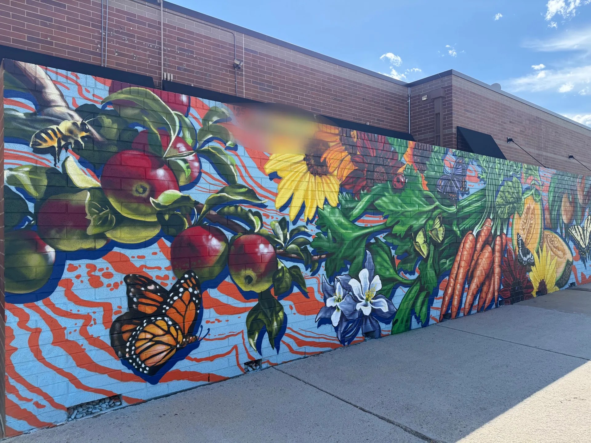 Arvada Cornucopia 
