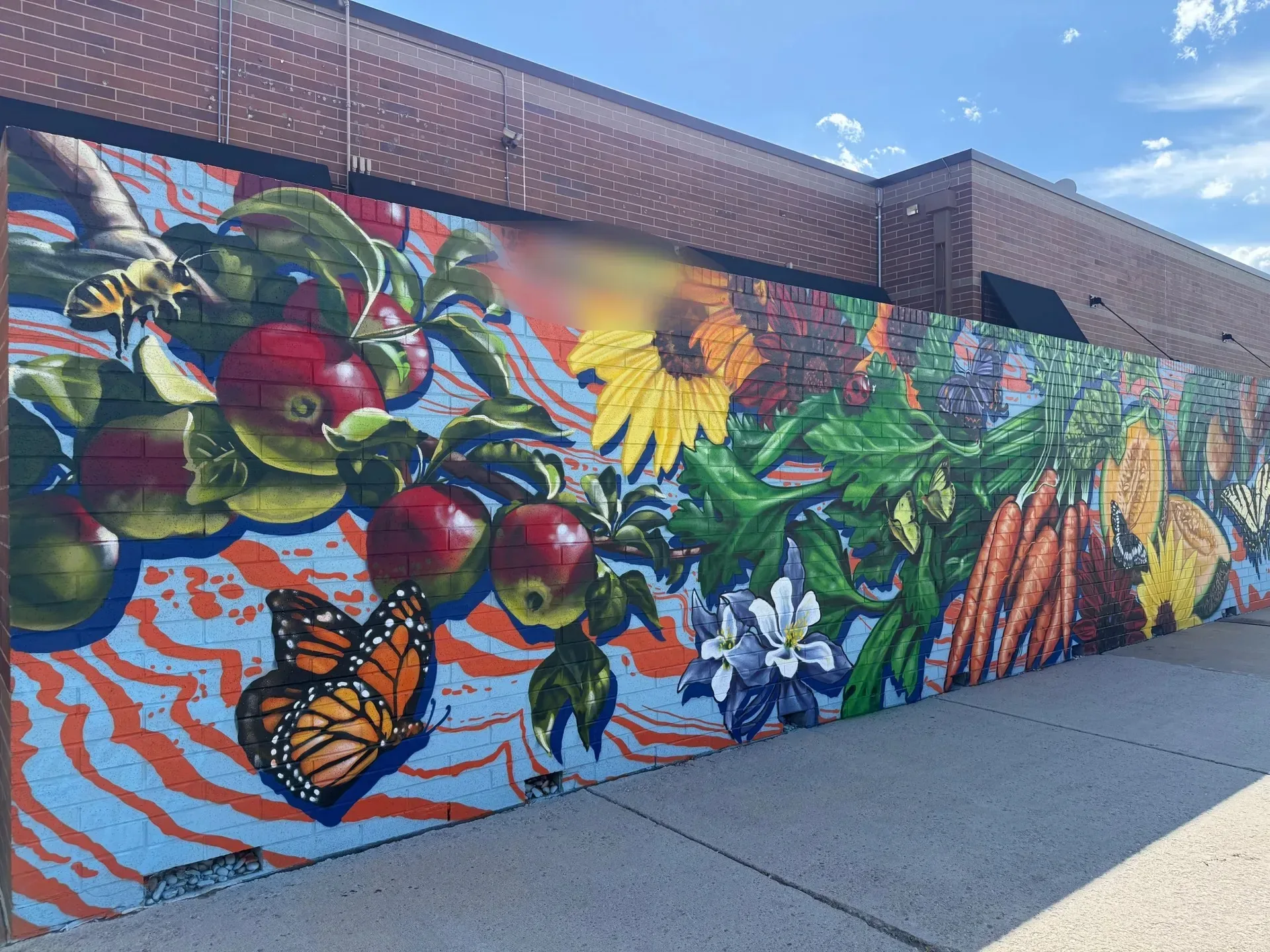 Arvada Cornucopia