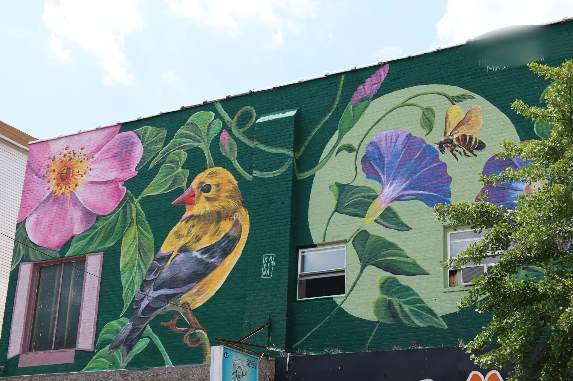 Native Flora and Fauna