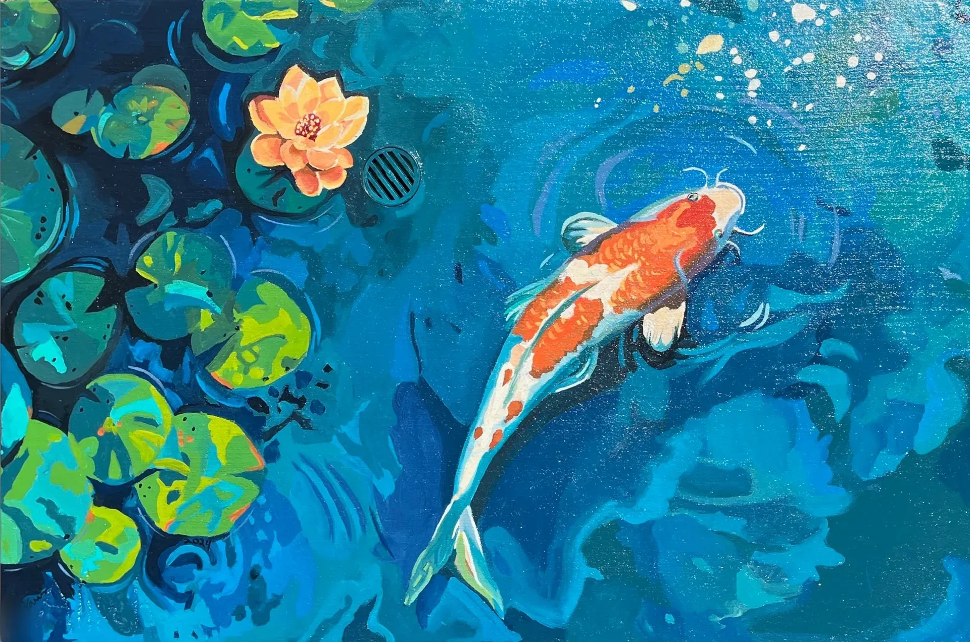 Koi