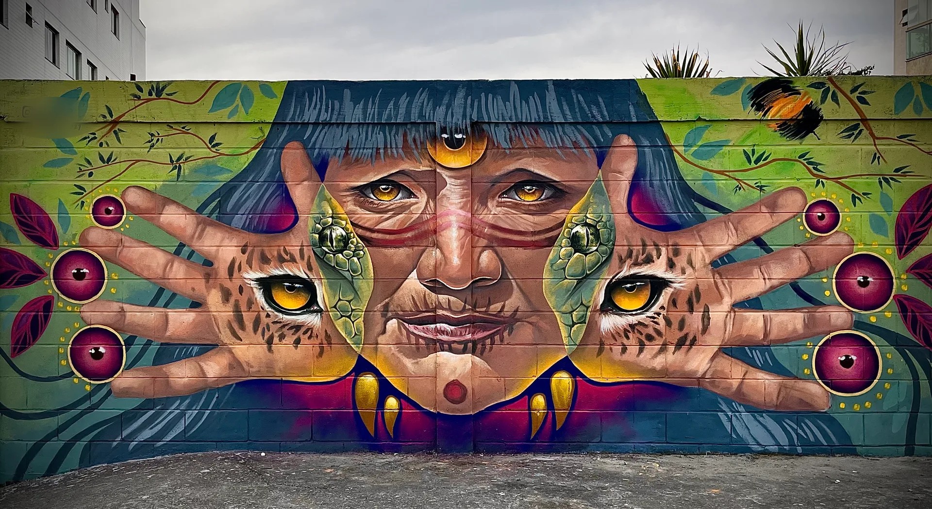 Mirada de la amazonia