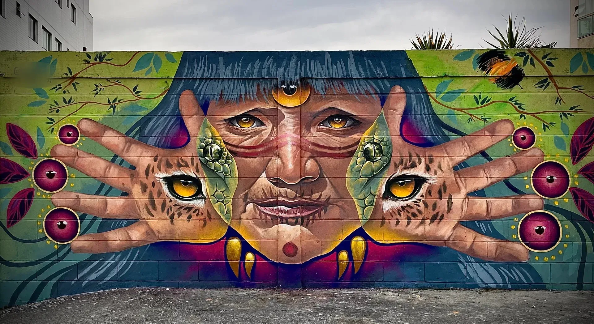 Mirada de la amazonia 