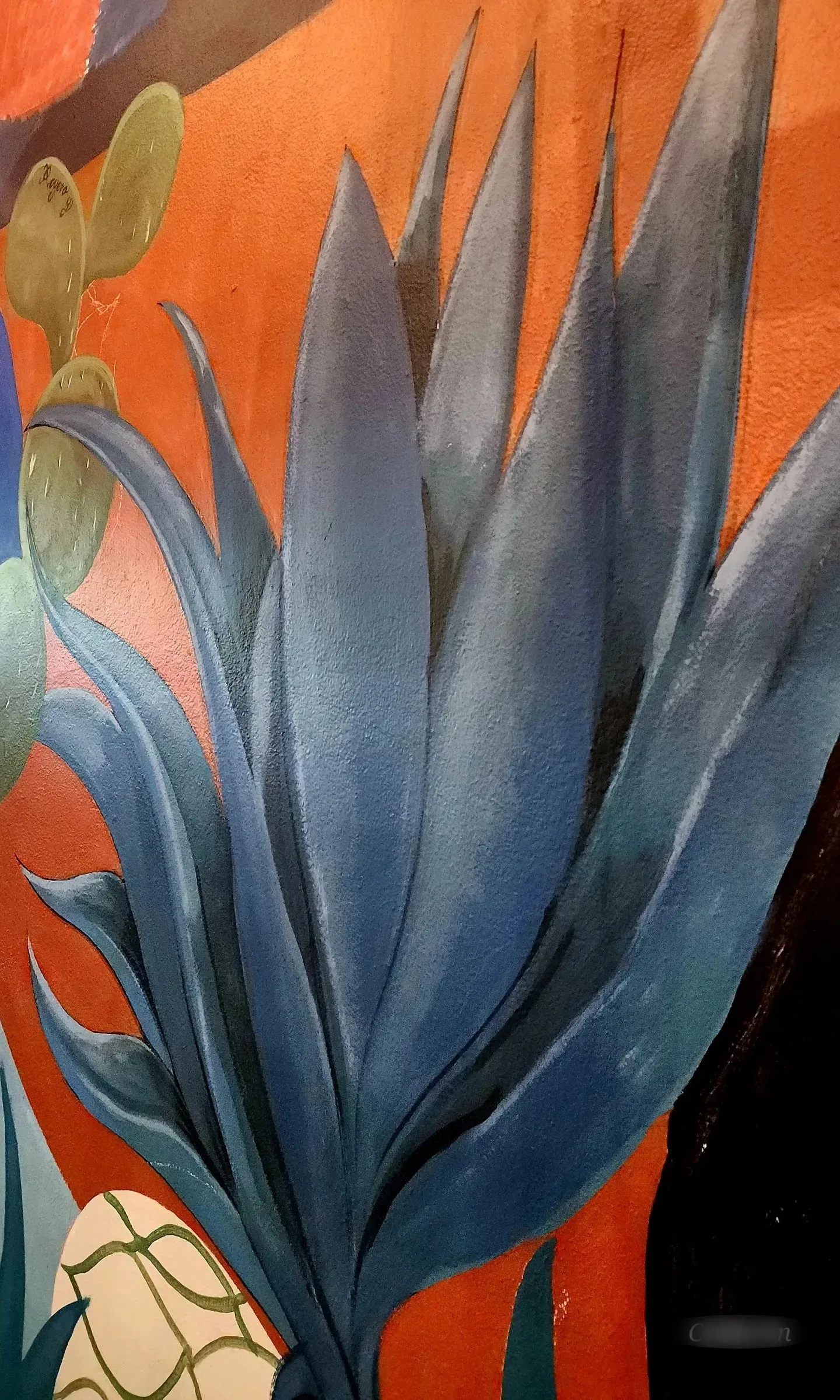 Oaxaca