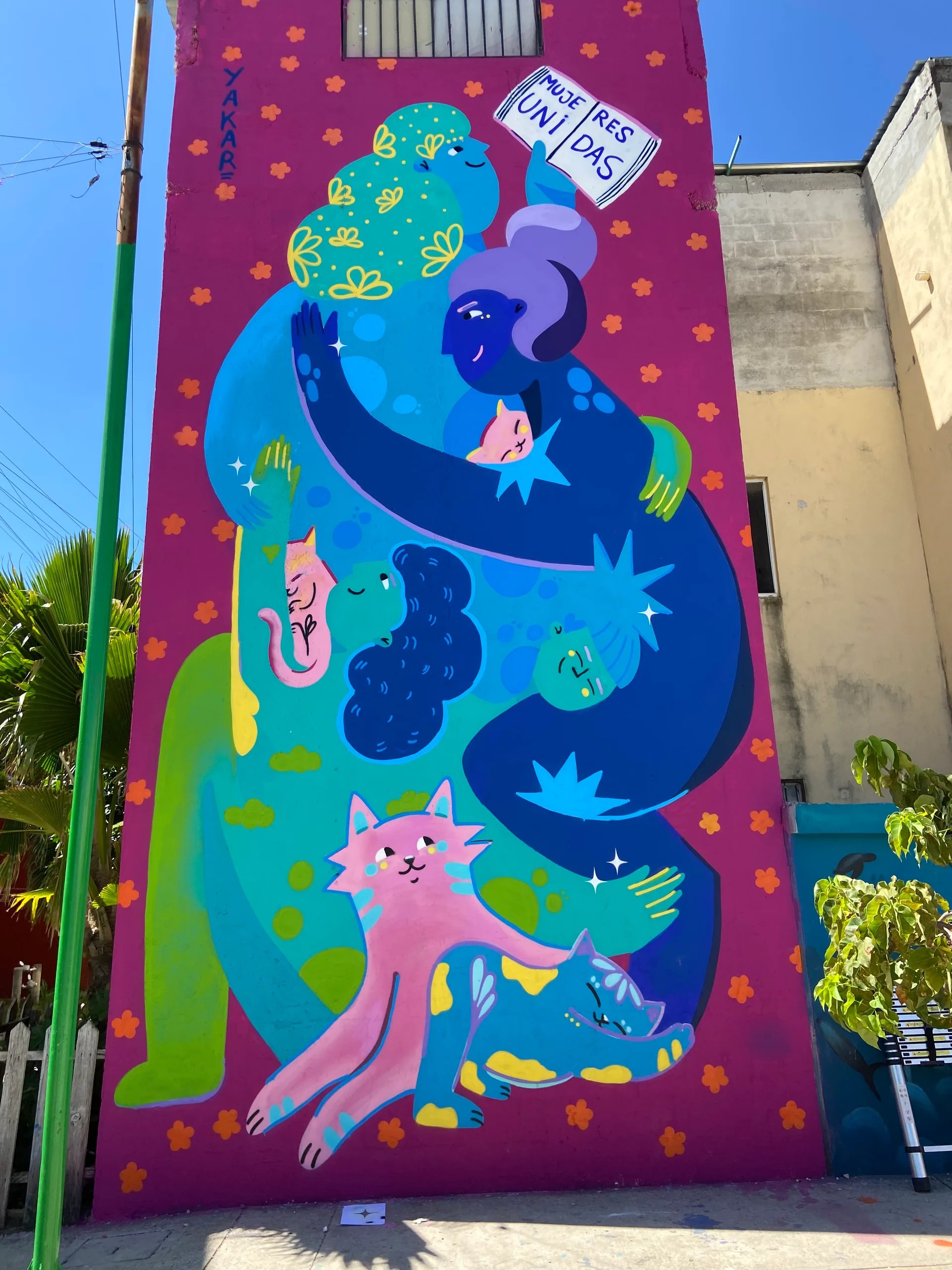 Mujeres unidas 