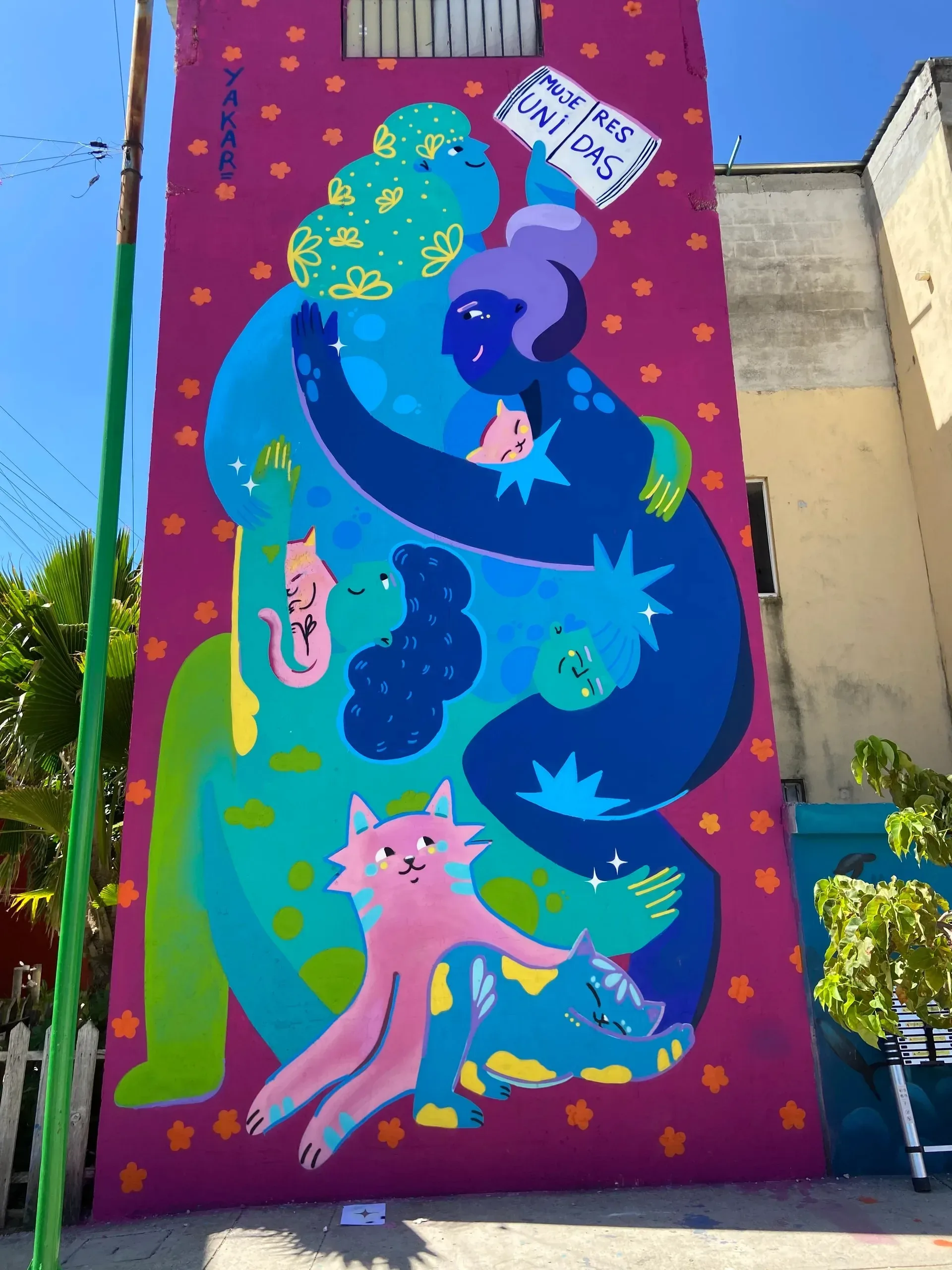 Mujeres unidas