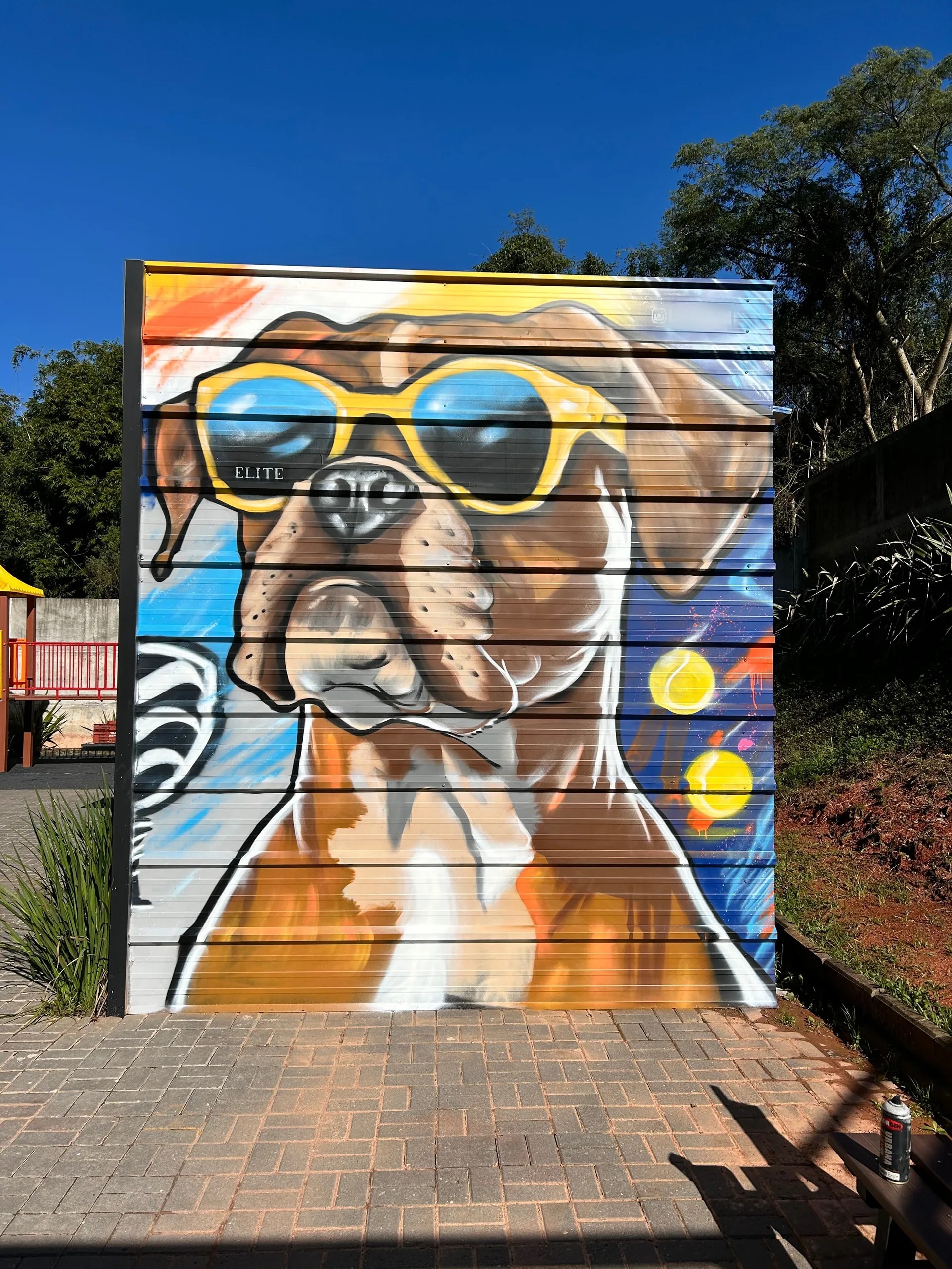 Cool Dog