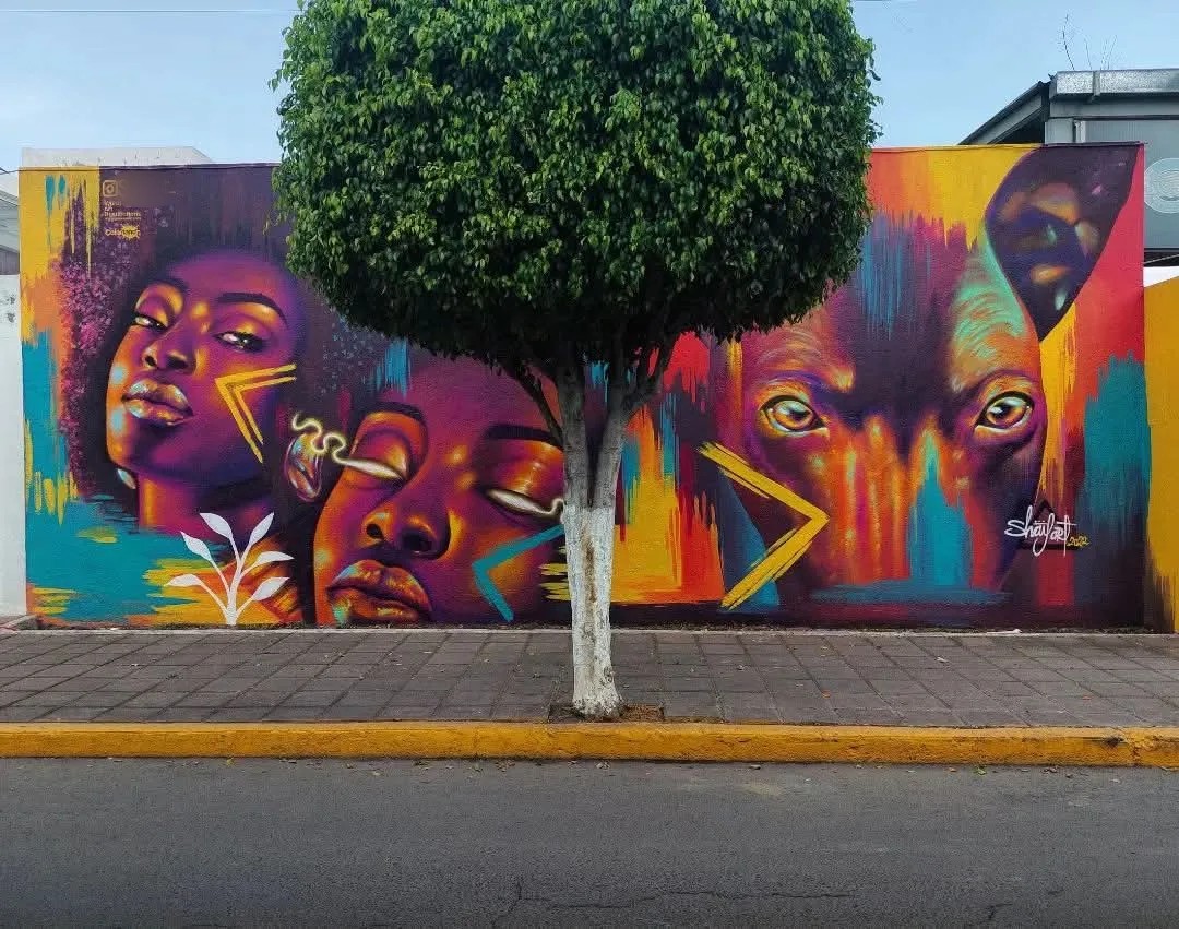 Sin título
