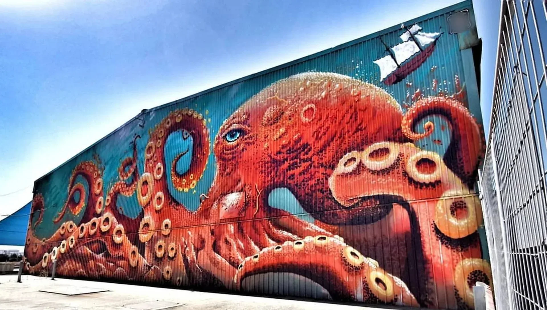 Giant Octopus