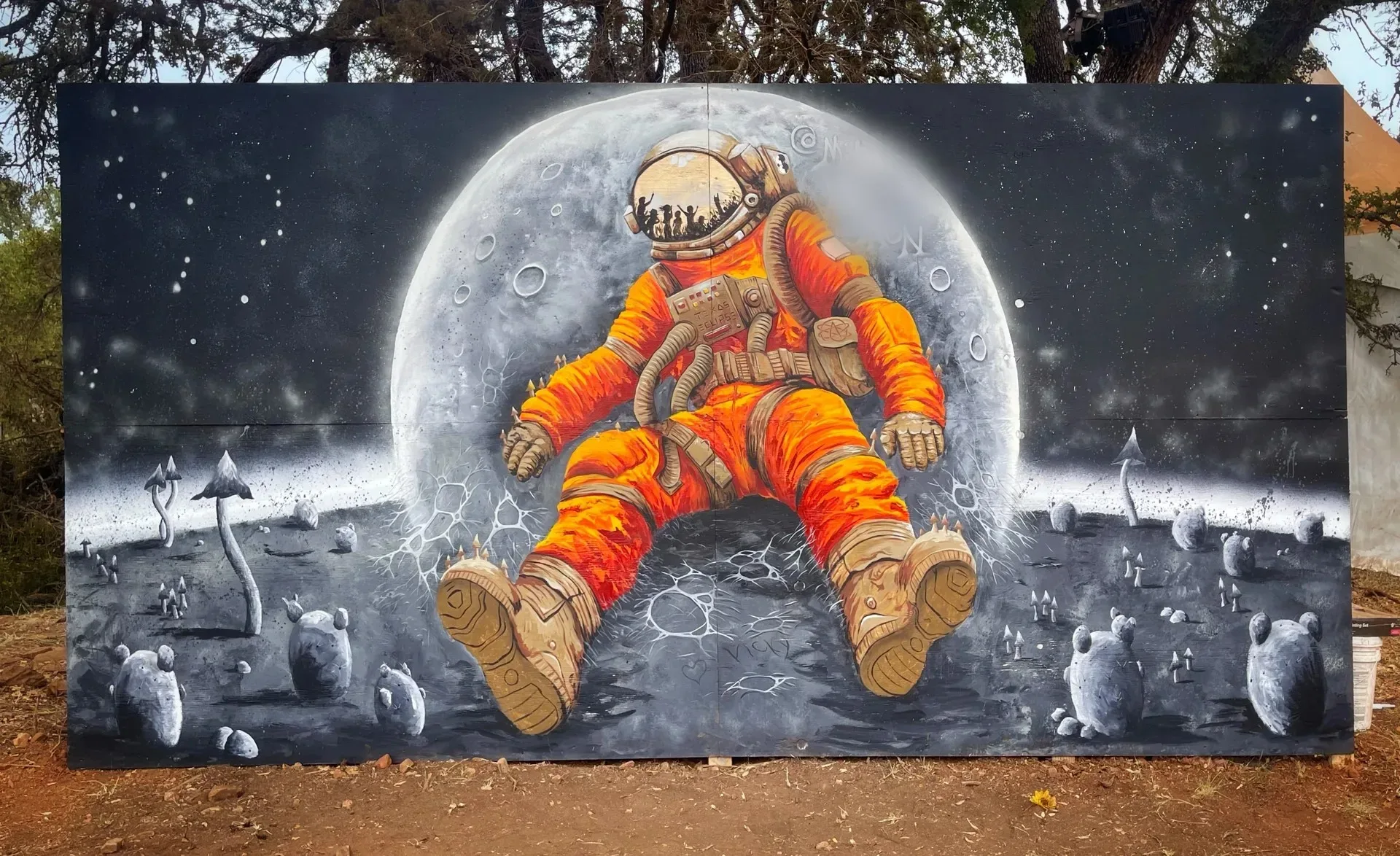 Texas Astronaut