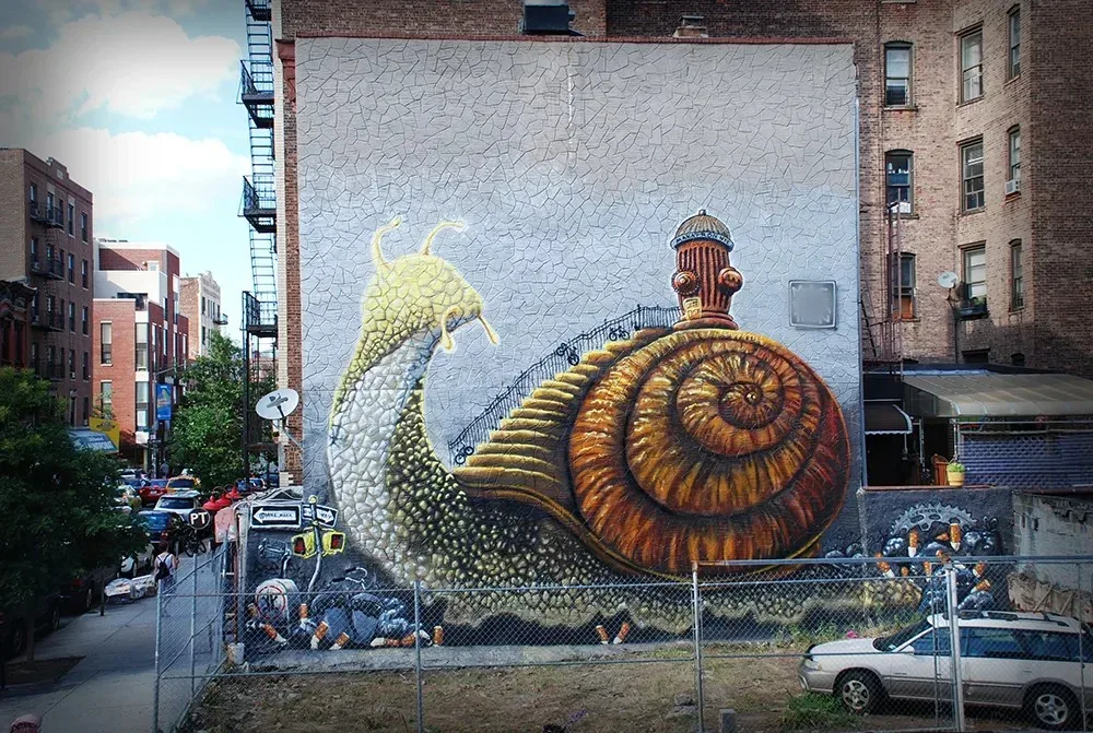 Snail bedford 