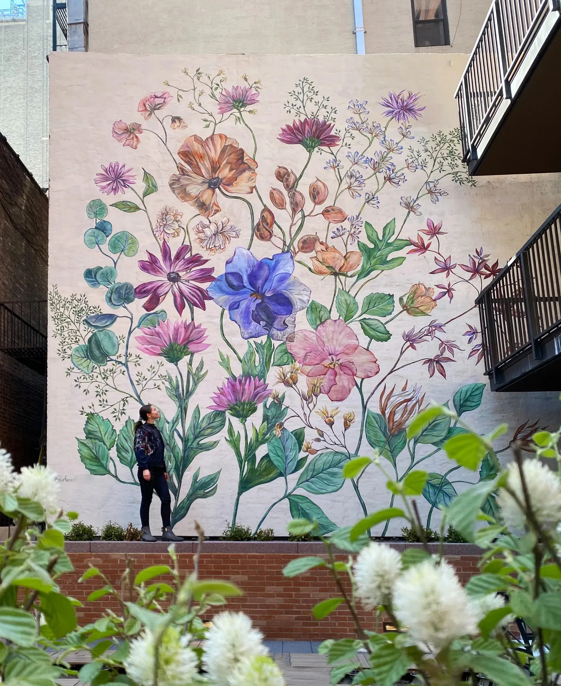 Pressed Flowers