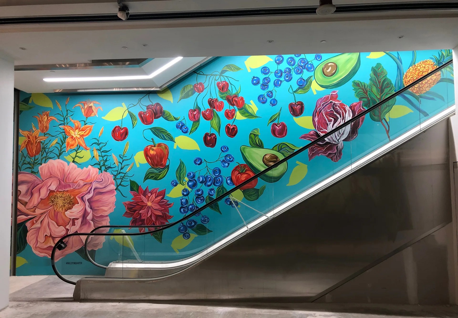 From Fruits to Flowers