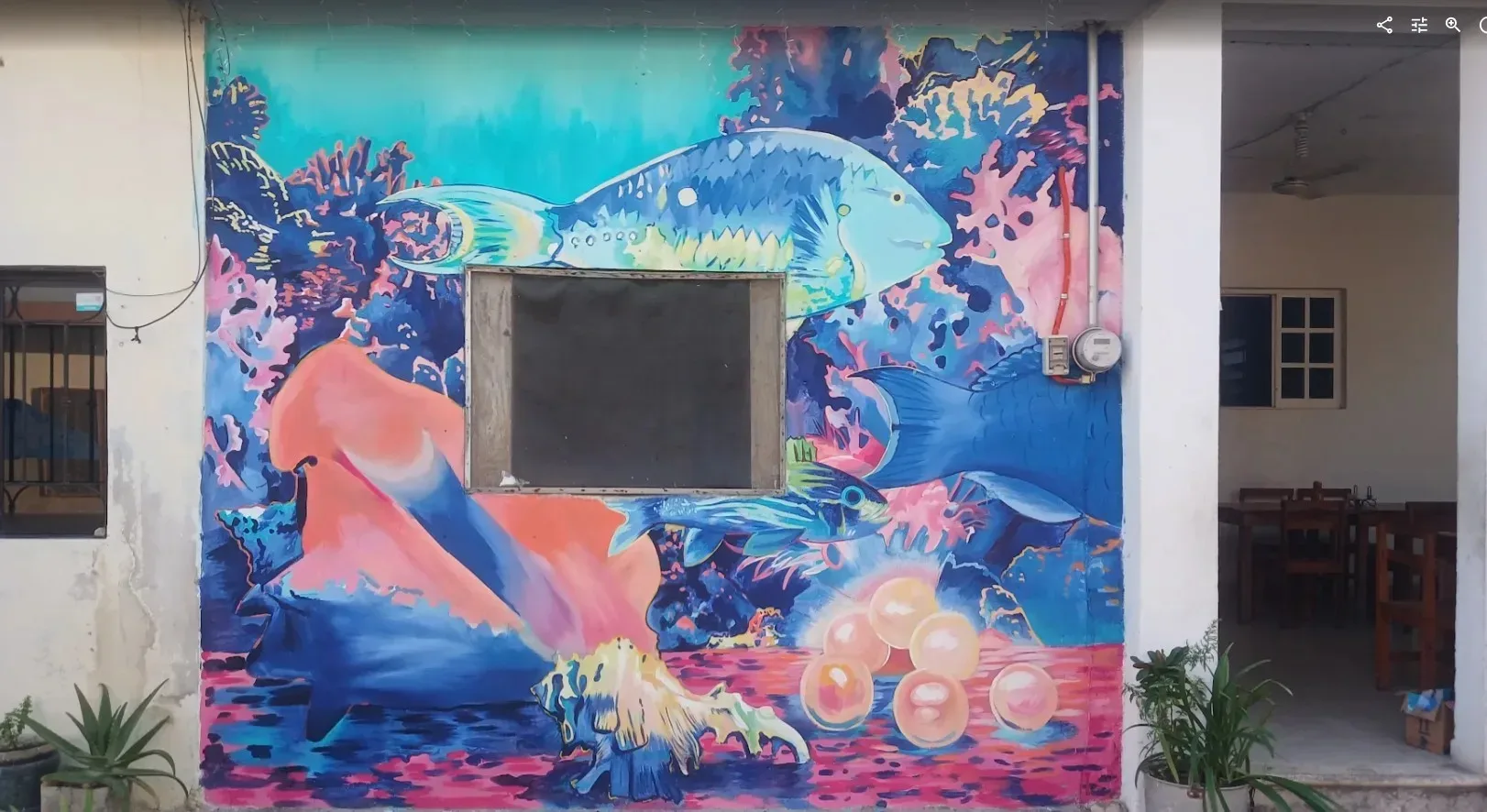 Fauna marina
