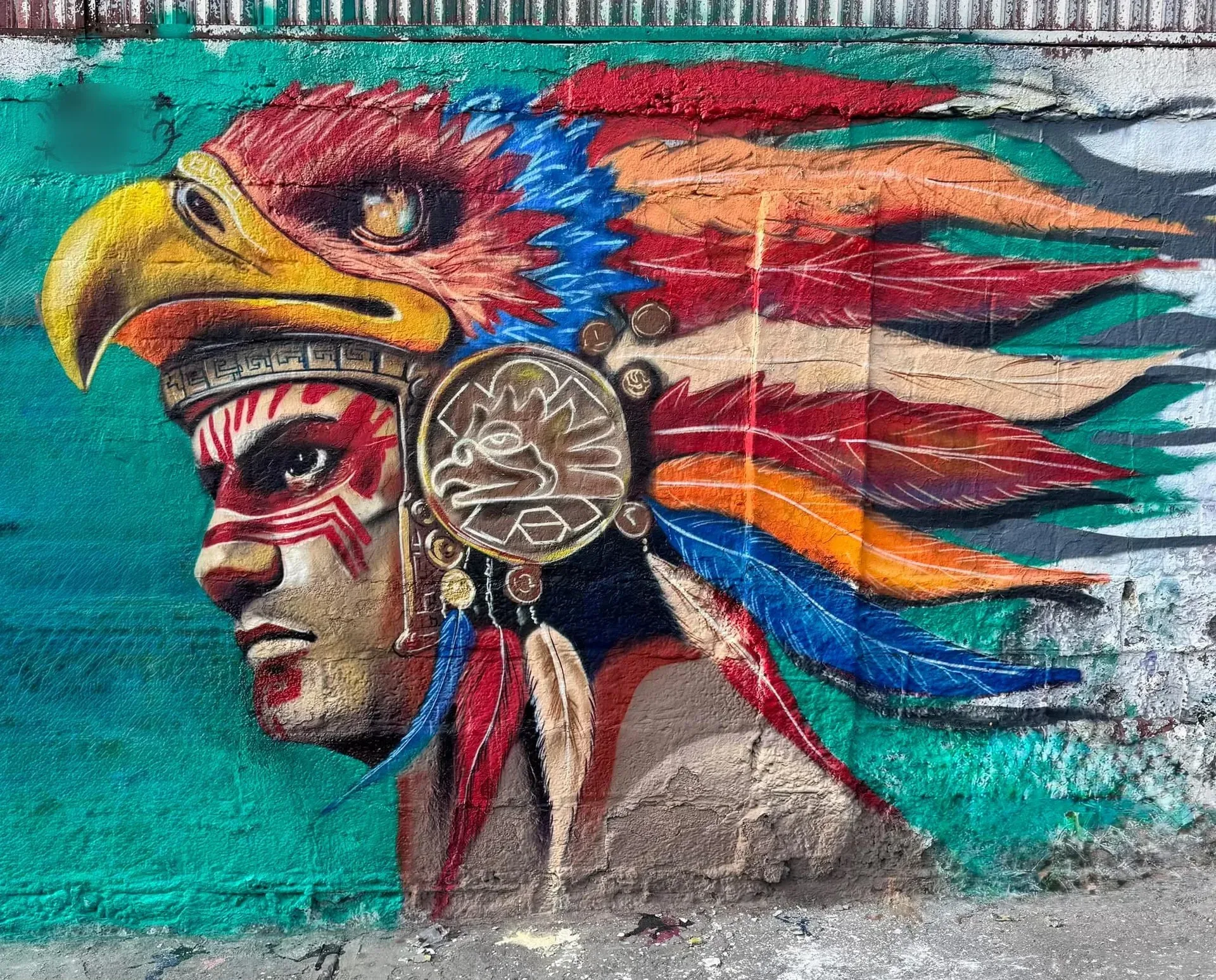 Águila cuatli