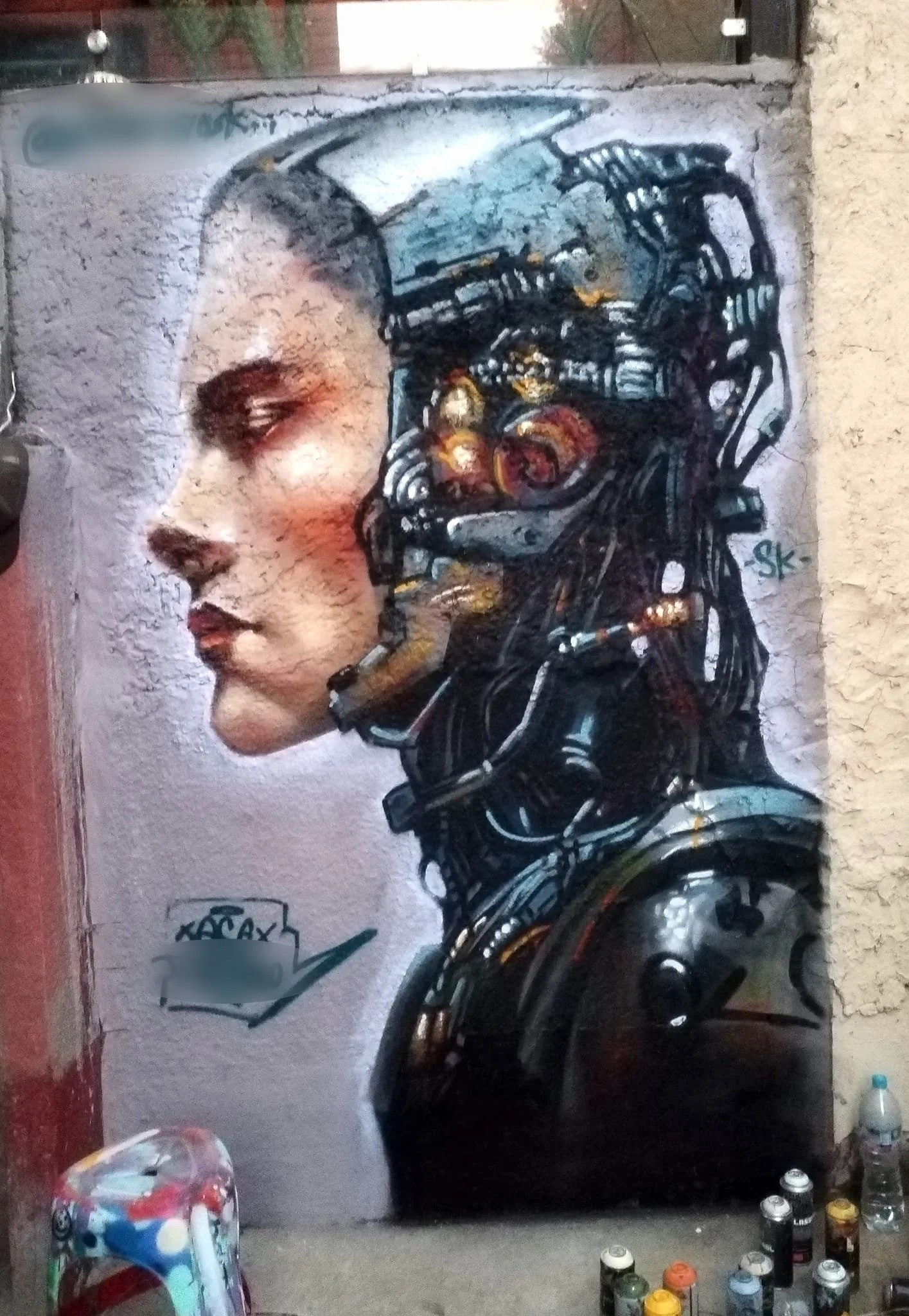 cyborg 1