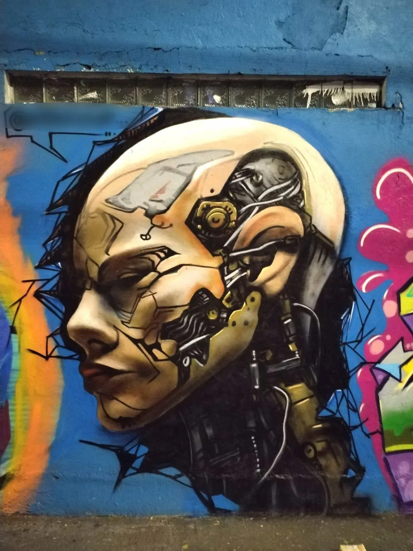 cyborg 2
