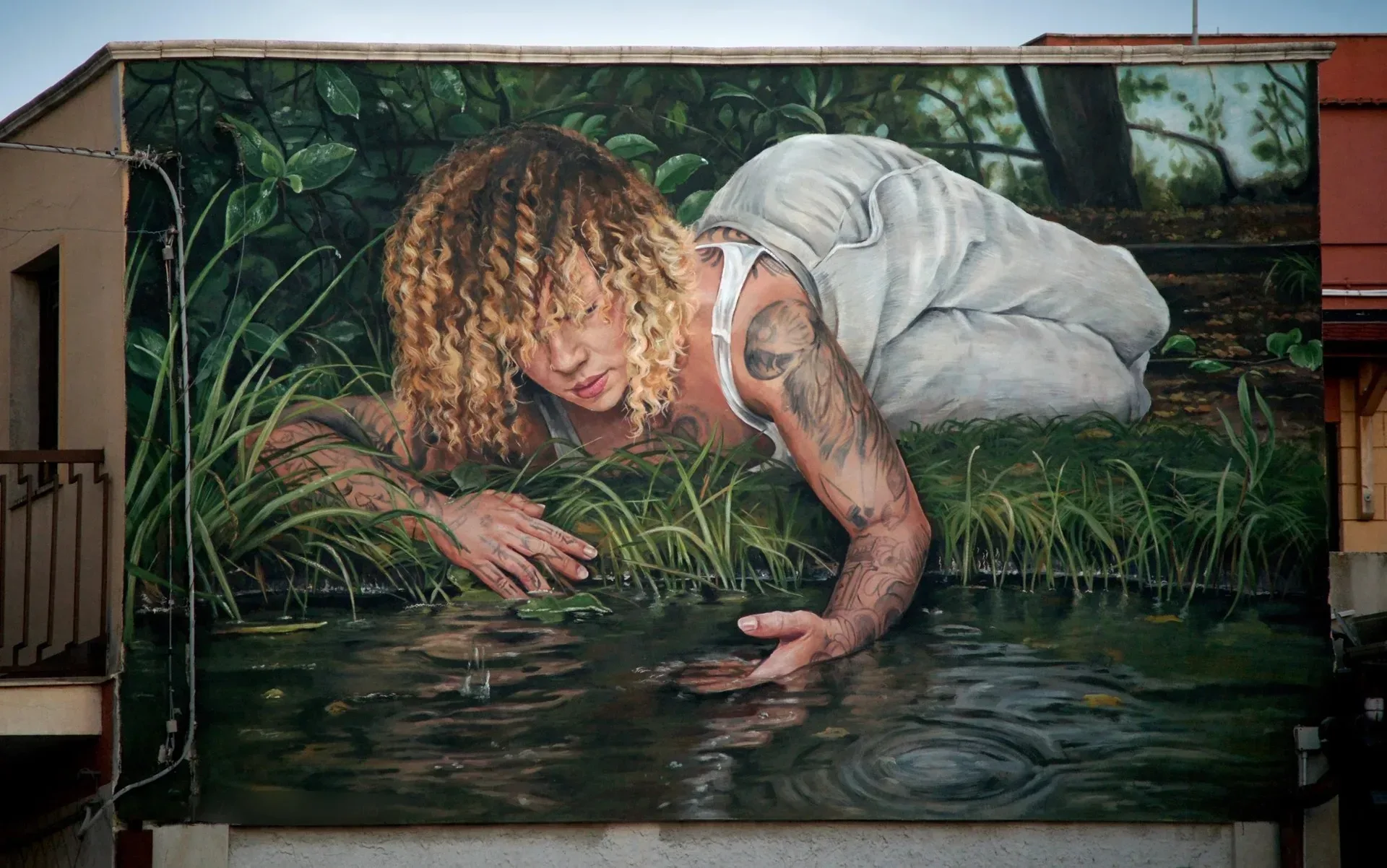 Narciso