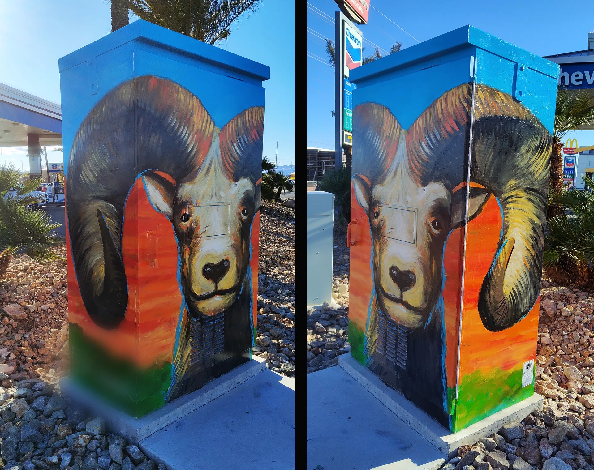 Bighorn Sheep
