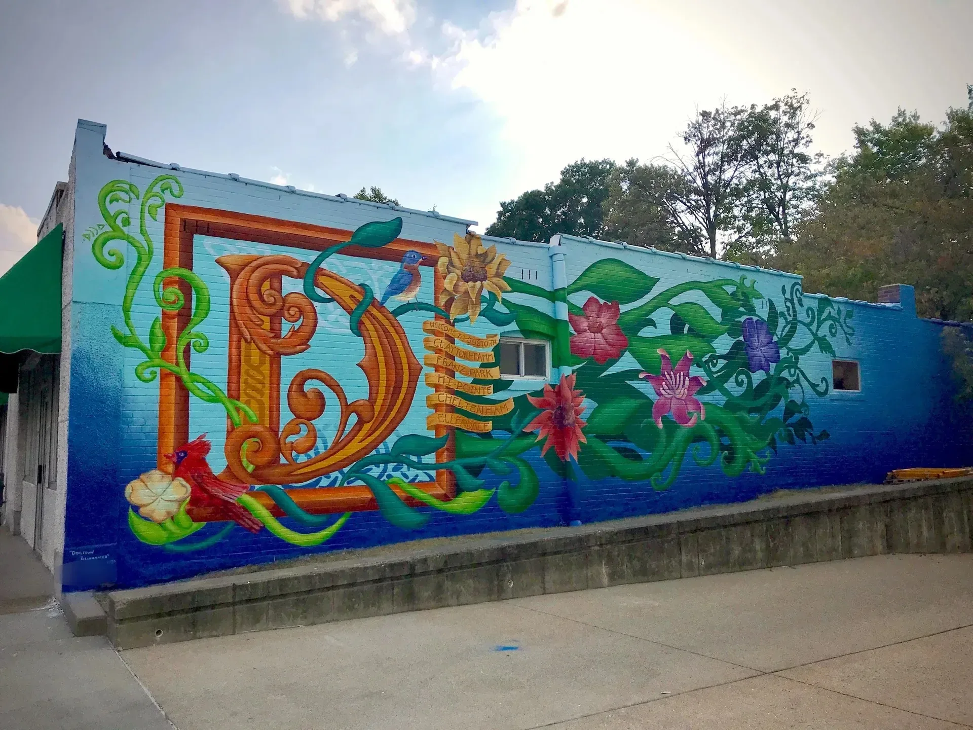 Dogtown Illuminated