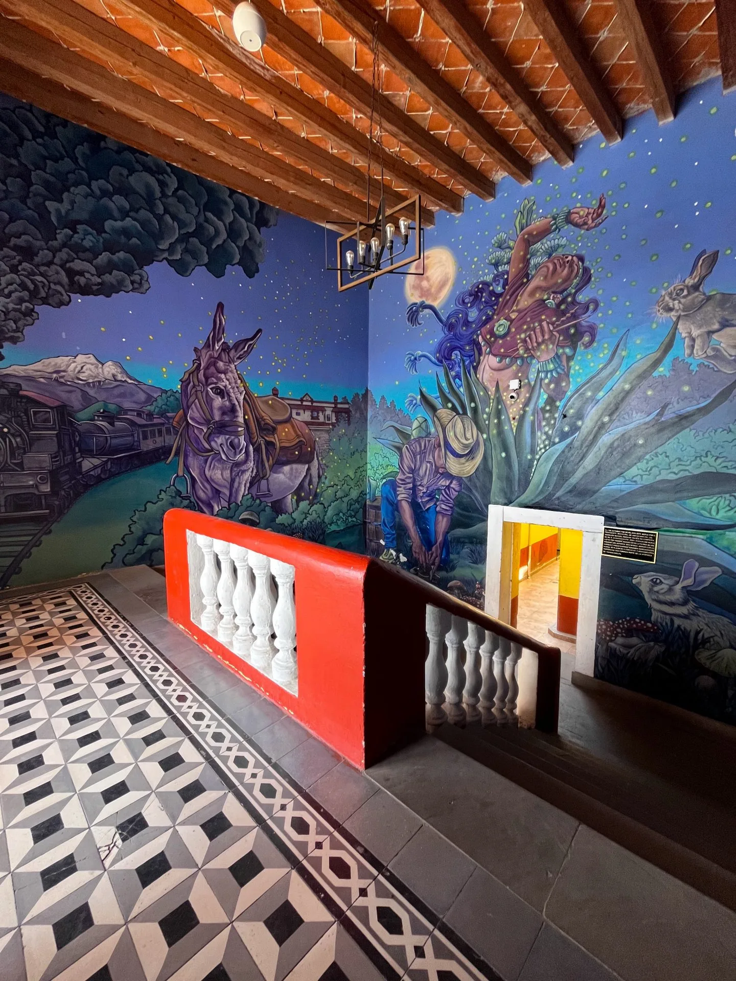 Amanecer en la tierra de los hongos