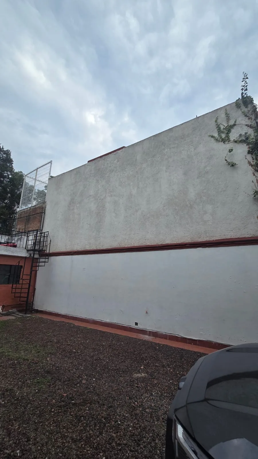 Before - La semilla 