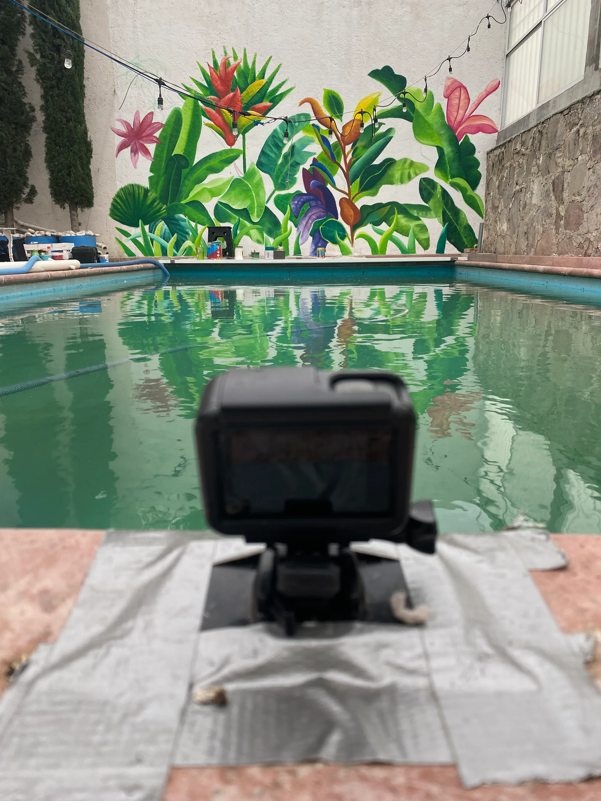 Before - “Viva la naturaleza”